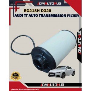 Audi TT Auto Transmission Filter-EG218HD320-V02E305051